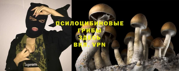 2c-b Кулебаки
