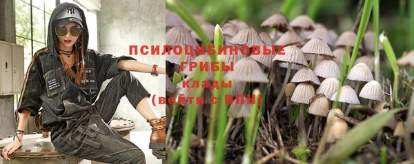 2c-b Кулебаки
