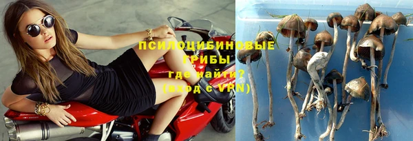 2c-b Кулебаки